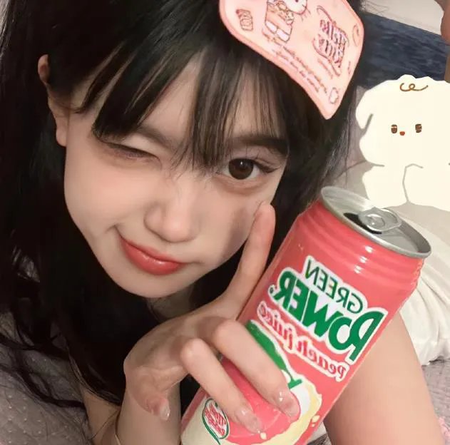 明星伙伴 第四季